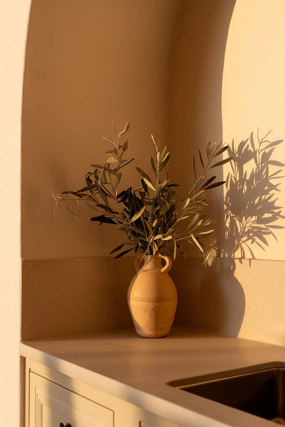 Dried olive branches